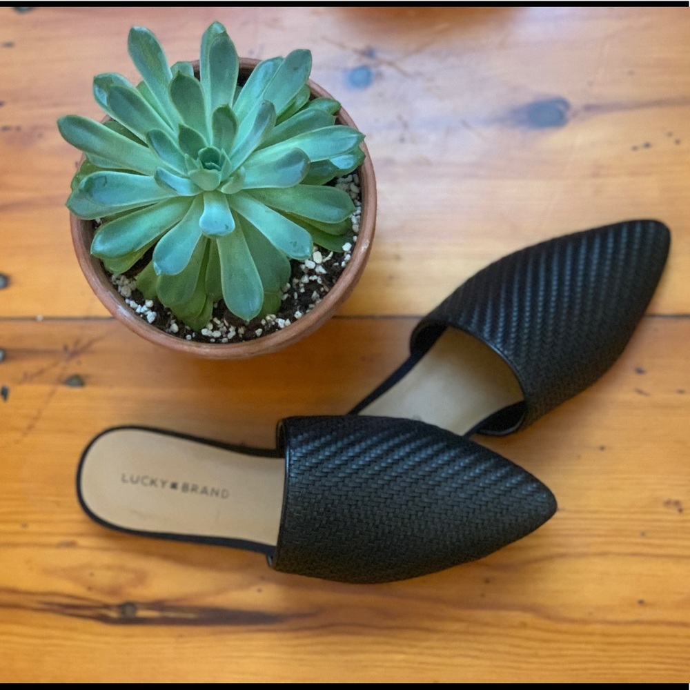 BRAND NEW Lucky Brand Slides